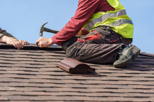Best Gutter Installation and Roofing  in Nicholasville, KY
