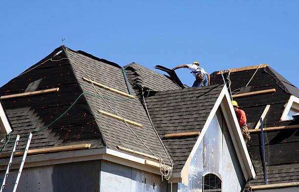 Best Best Roofing Contractors  in Nicholasville, KY