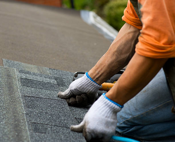 Best Roof Gutter Cleaning  in Nicholasville, KY