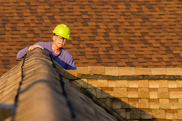 Best Roof Restoration Services  in Nicholasville, KY