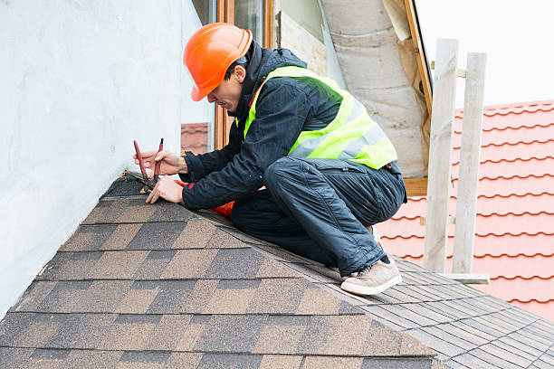Best Roof Gutter Cleaning  in Nicholasville, KY