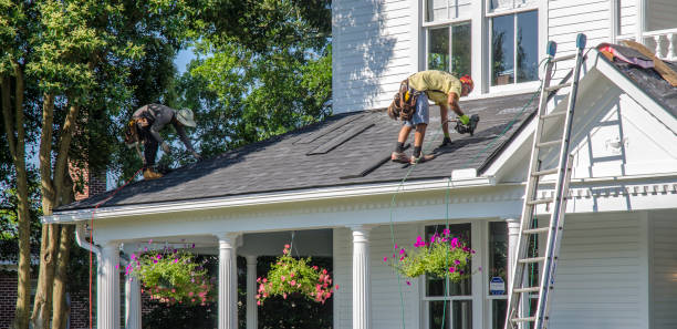 Roof Gutter Cleaning in Nicholasville, KY