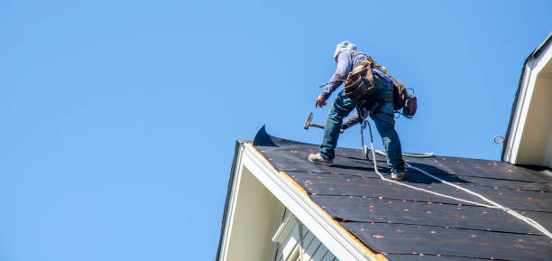 Best Local Roofing Companies  in Nicholasville, KY